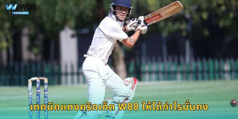 เทคนิคแทงคริกเก็ต W88 ให้ได้กำไรมั่นคง